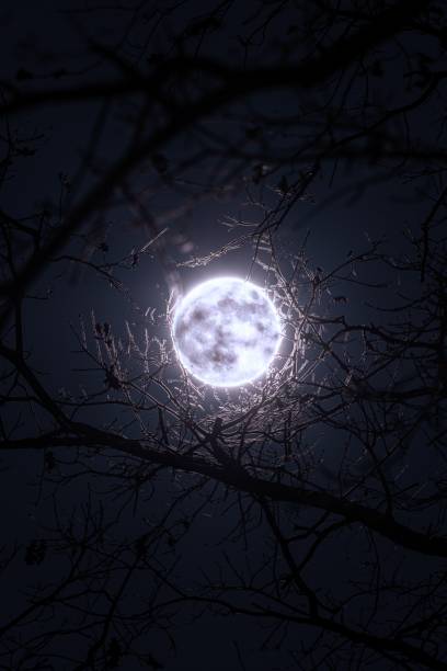 istock Beautiful view of the full moon 1443456662