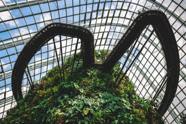 istock Garden with waterfalls by the bay 1443456742