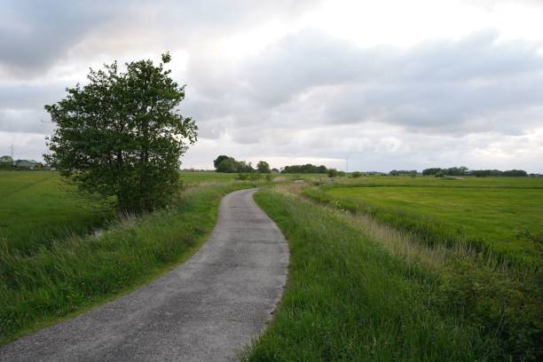 istock Tranquil scene of rural road along the green fields 1443457431