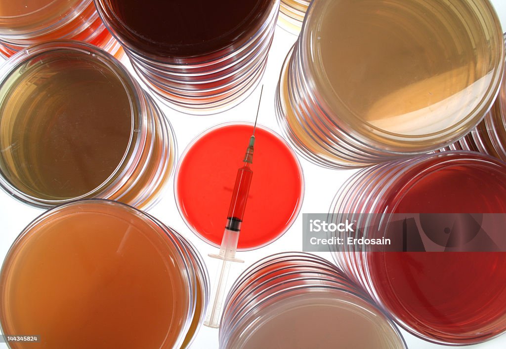Petri dishes for medical research Petri dish with syringe with sample Analyzing Stock Photo