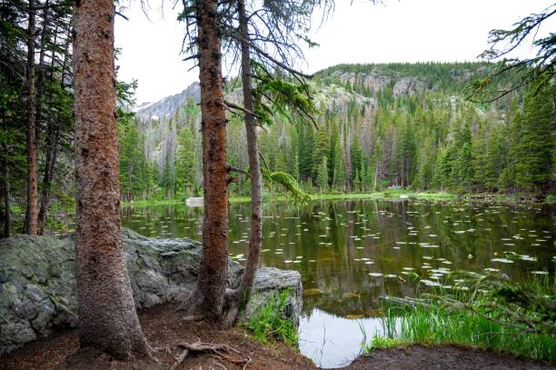 istock Colorado Landscape photos High Definition 1443458685