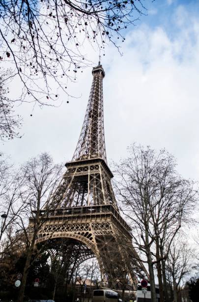 istock Vertical low-angle shot of the Eiffel tower surrounded by leafless trees 1443458906