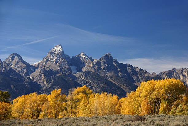 istock Grand Teton with autumn golden aspens 144345915