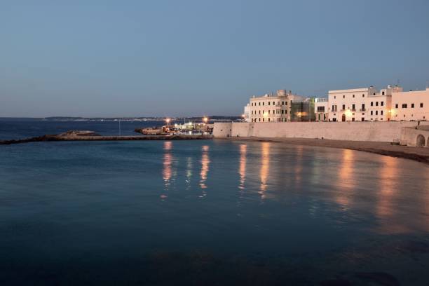 istock Scenery by the sea at dusk 1443459348