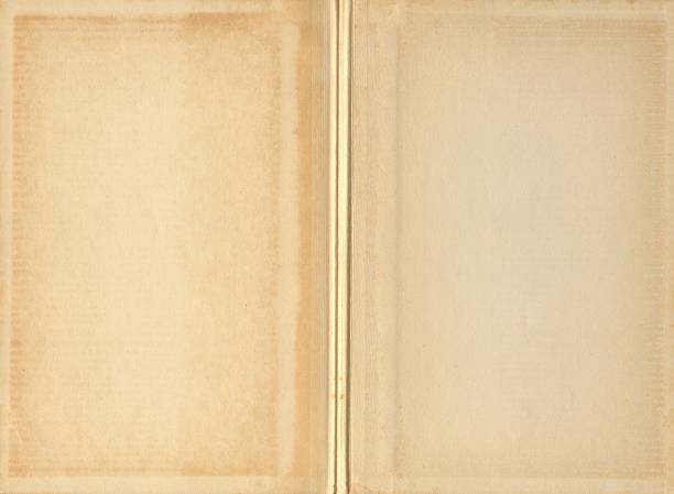 Blank Vintage Book Pages stock photo