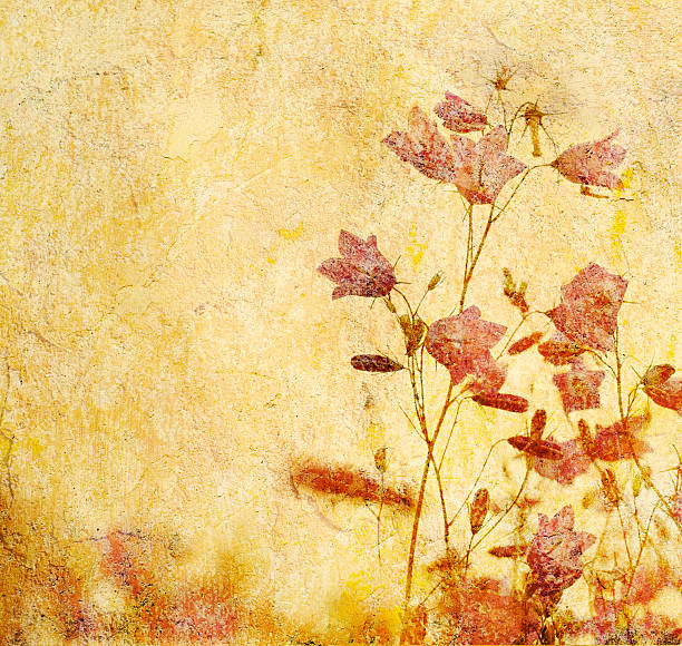 istock grunge floral background with space for text or image 144346120