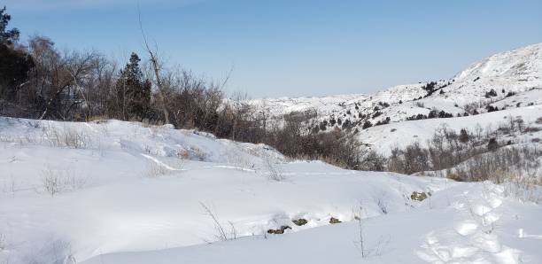 istock Peaceful winter landscape with snow-covered hills 1443461507