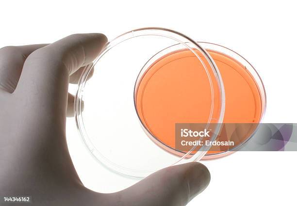 Petri Gerichte Für Medizinische Forschung Stockfoto und mehr Bilder von Analysieren - Analysieren, Ausrüstung und Geräte, Bakterie