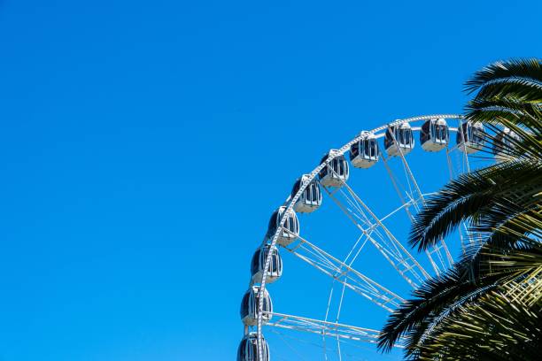 istock Ferris wheel and a palm tree against the blue sky 1443462028