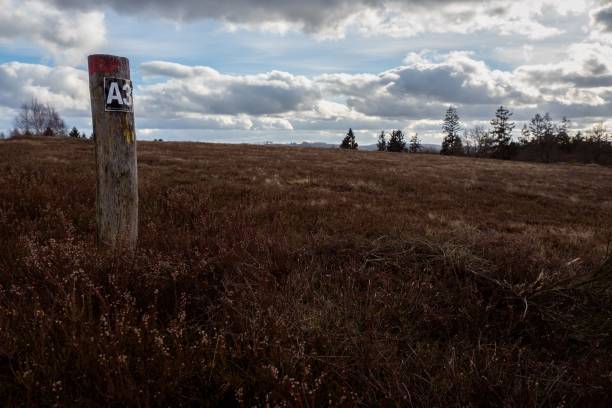 istock Wooden post with A3 sign in a grassy field under a blue cloudy sky 1443462518