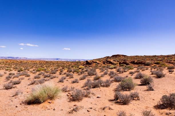 istock Arizona Antelope red Canyon on a sunny day 1443464406