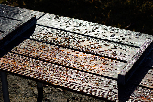 Close-up of water drops on wooden bench in early morning.