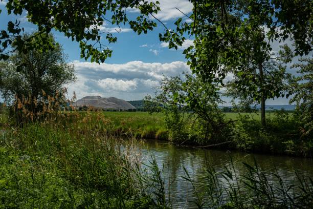 bela foto de um rio no meio de um campo cercado por árvores na aldeia de giesen. - giesen - fotografias e filmes do acervo