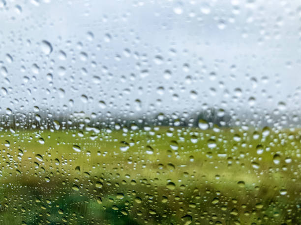 View through a fogged and rain-wet window with green nature in the background stock photo