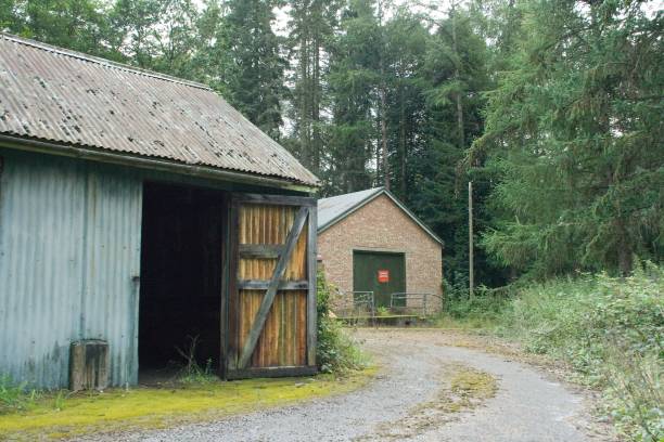 istock Derelict and abandoned old garage in a forest along a pathway 1443468153