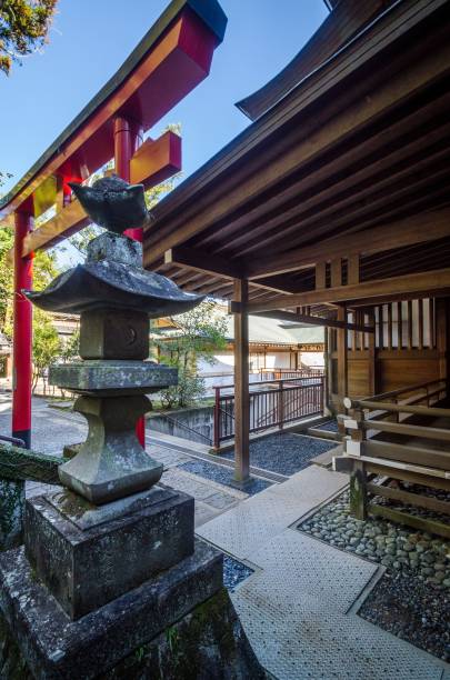 istock Vertical shot of a backyard where there are benches and decorative constructions 1443468705