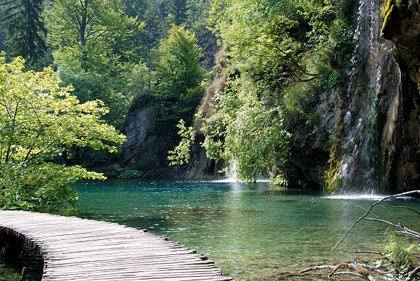 Walking by the lakes stock photo