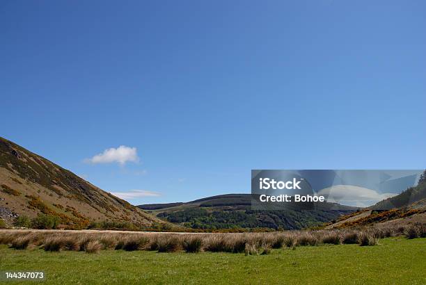 Lough Dan Irische Landschaft Stockfoto und mehr Bilder von Avoca - Verwaltungsbezirk County Wicklow - Avoca - Verwaltungsbezirk County Wicklow, Berg, Blau