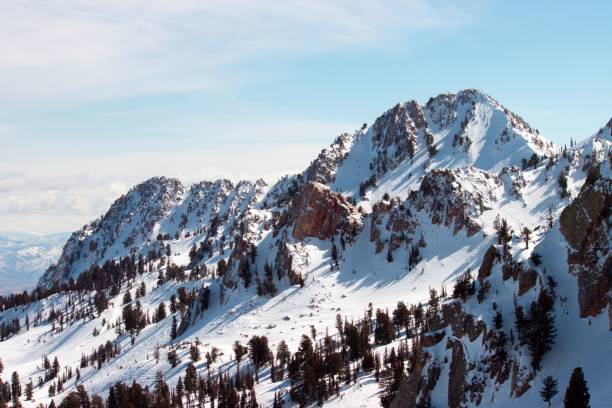 istock Rocky mountain covered with snow and a few trees 1443471030