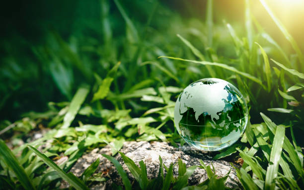 Globe Glass on green grass forest with sunlight. Environment, save world, earth day and conservation Concept. stock photo