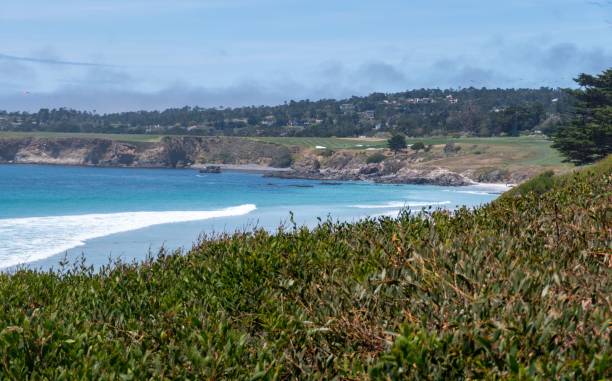 istock Beautiful rocky coast and landscape with bushes foreground 1443472030