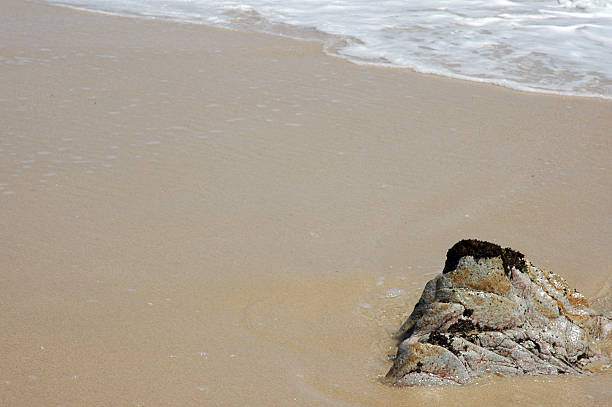 istock Beach background with Rock, Sand and Foam 144347229