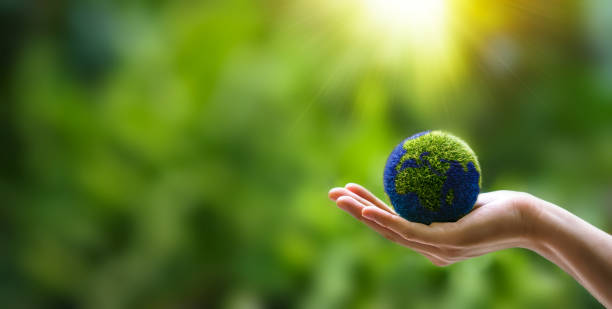 istock Hands holding globe on green nature forest background in saving environment concept, save clean planet, ecology concept for World Earth Day 1443472461