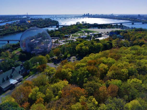 istock Aerial view of a beautiful forest near the water in summer 1443473609