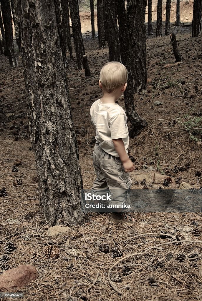 Boy in the Woods A little child alone in the woods, hesitating, watching. On the Cyprus mountains. Asking Stock Photo