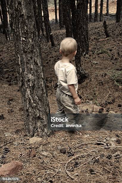 Boy In The Woods Stock Photo - Download Image Now - Asking, Boys, Branch - Plant Part