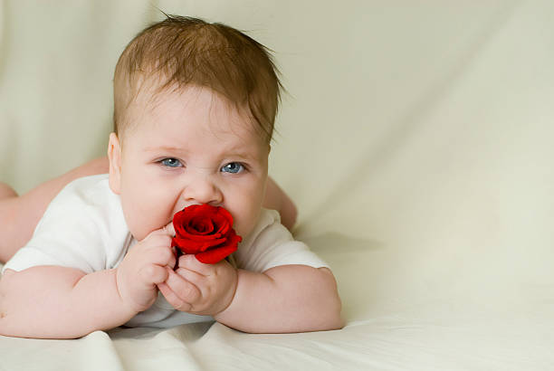 Girl tasting red rose stock photo