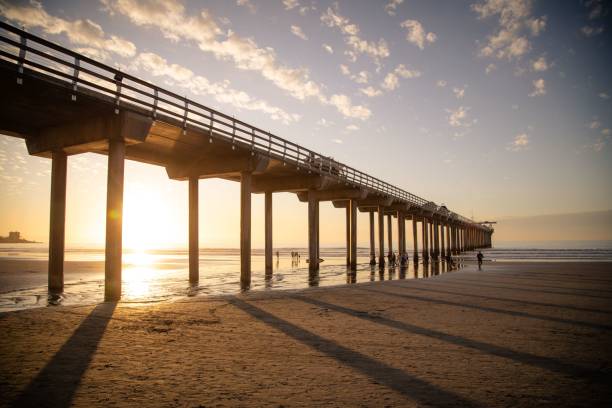 istock Low-angle view of a beautiful bridge above the water at sunset 1443474365