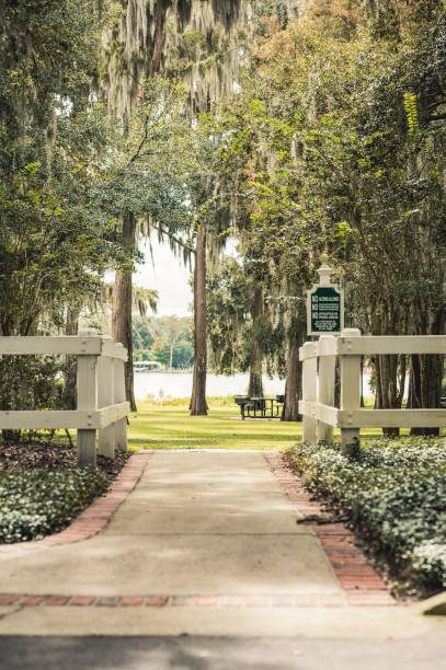 istock Walkway in a park on a sunny day 1443474508