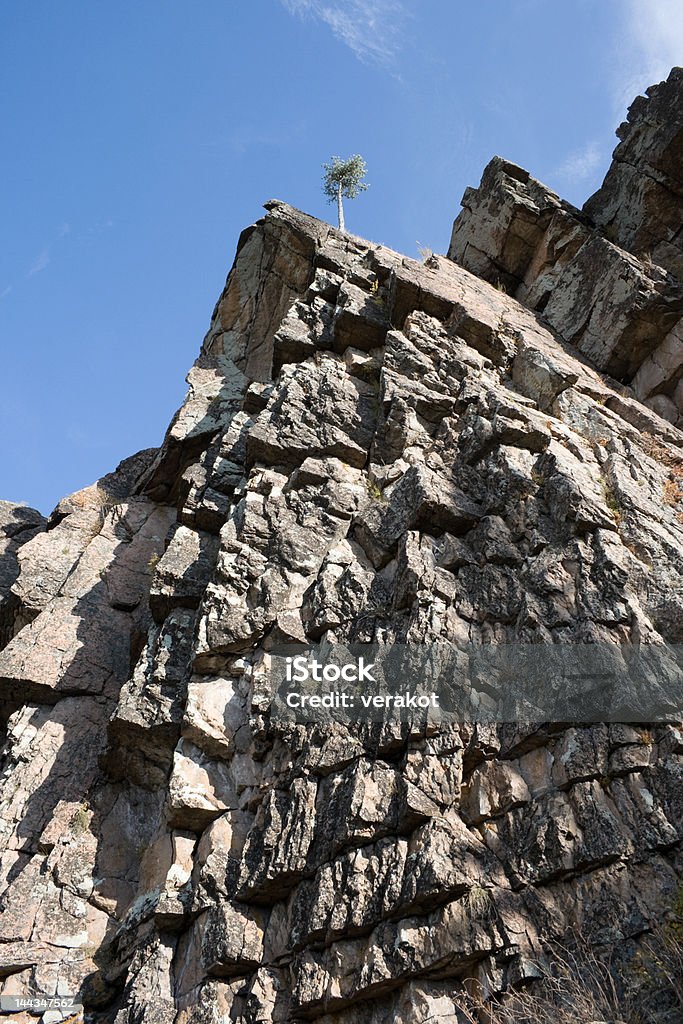 Pine on the rock 1 Green pine on the rock under blue sky in Stolby reservation, Krasnoyarsk Blue Stock Photo