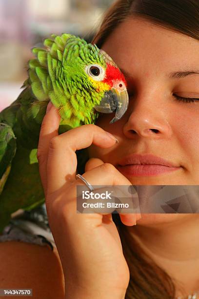 Loro De La Pasión Foto de stock y más banco de imágenes de Loro - Loro, Verde - Color, Acariciar a un animal