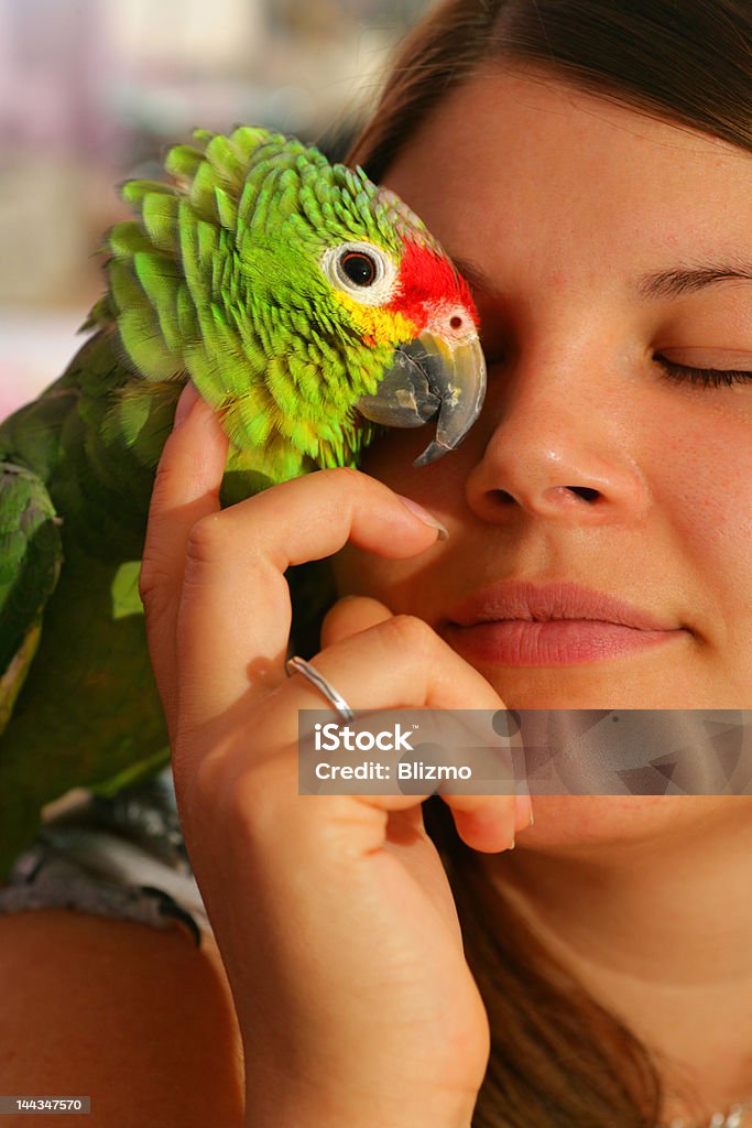 Parrot la Passion - Photo de Couleur verte libre de droits