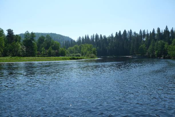istock Landscape view of a lake among dense forest 1443475769