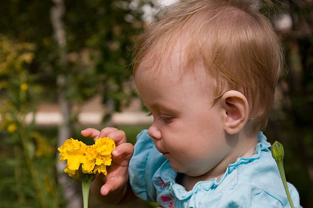 Baby and yellow flower close-up stock photo