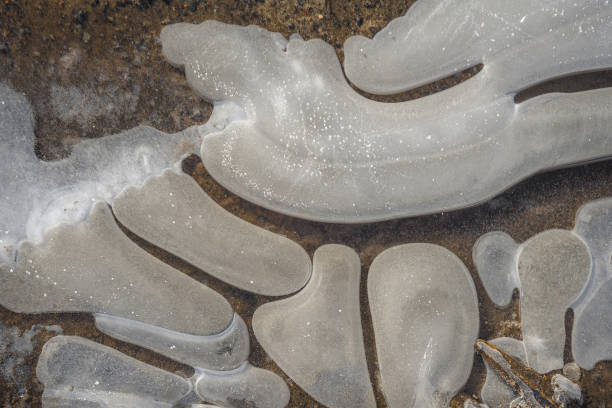 istock Snow covered pattern of frozen water 1443479126