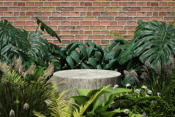 istock 3D render Platform and natural stone podium background on tree and flower backdrop brick cement wall for product  stand display advertising cosmetic beauty products or skincare with empty round stage 1443479401