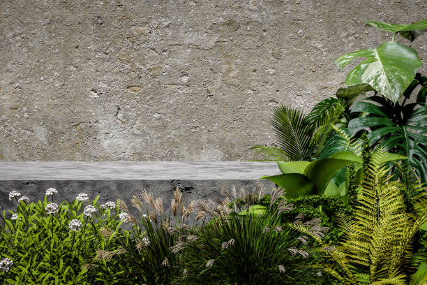 istock 3D render Platform and natural stone podium background on tree and flower backdrop brick cement wall for product  stand display advertising cosmetic beauty products or skincare 1443479425