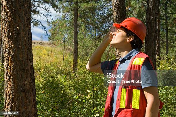 Waldarbeiter Arborist Stockfoto und mehr Bilder von Baumdoktor - Baumdoktor, Baum, Messen