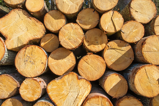 Sawn timber in a pile