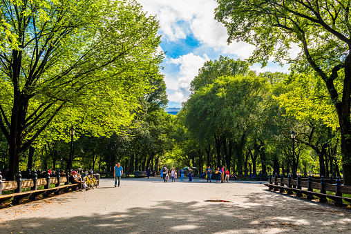Central Park, USA - September 26, 2018: Central Park. Central Park is an urban park in Manhattan. Popular destination for tourists. New York City, USA.