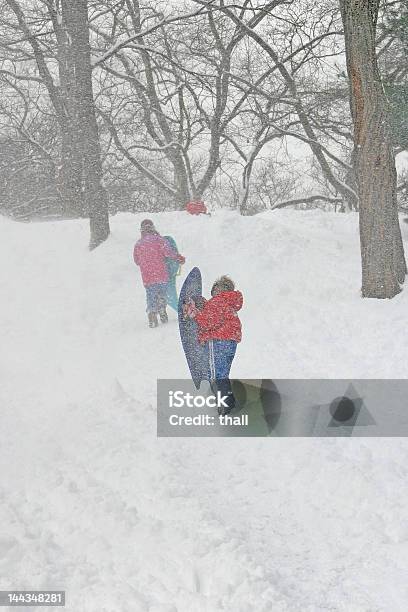 Photo libre de droit de Hiver Jour De Neige banque d'images et plus d'images libres de droit de Animaux d'attelage - Animaux d'attelage, Blizzard, Divertissement - Plaisir