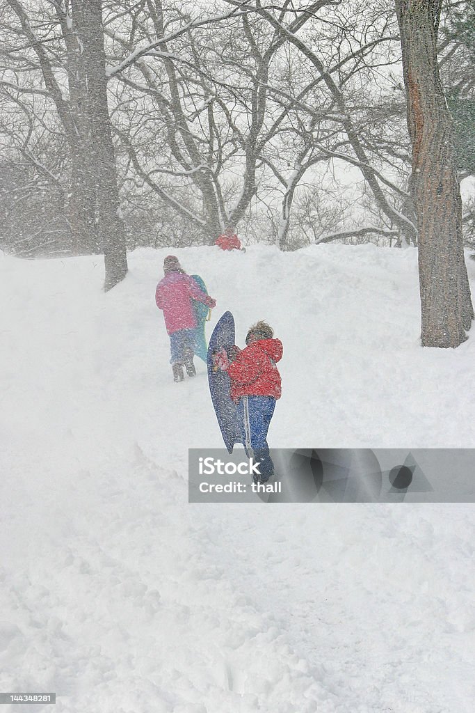 Inverno: Festa della neve - Foto stock royalty-free di Ambientazione esterna