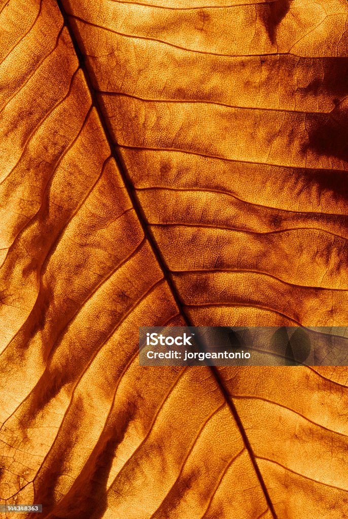 ゴールドの葉のバックグラウンド - まぶしいのロイヤリティフリーストックフォト