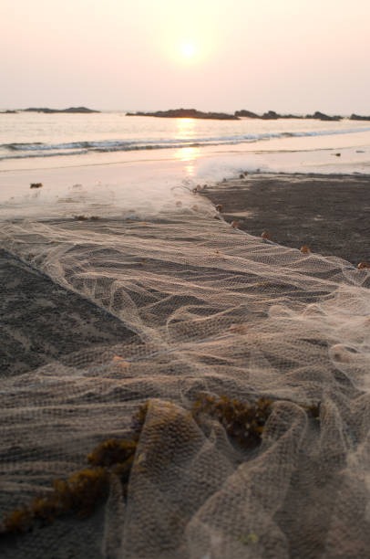fishing net on the beach in front of a sunset