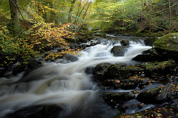 istock Birks of Aberfeldy 144348516