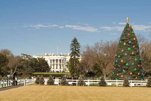 National Christmas Tree in Front of White House, Washington DC National Christmas tree in front of the White house - See lightbox for more christmas star shape christmas lights blue stock pictures, royalty-free photos & images